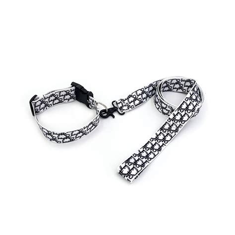 collier pour chien dior